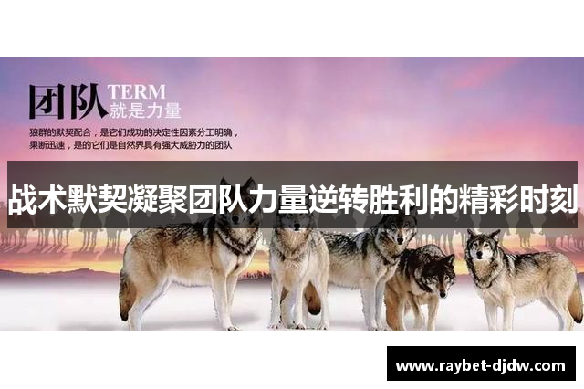 战术默契凝聚团队力量逆转胜利的精彩时刻