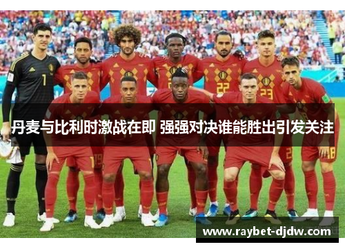 丹麦与比利时激战在即 强强对决谁能胜出引发关注