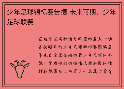 少年足球锦标赛告捷 未来可期，少年足球联赛